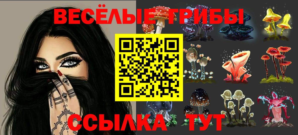 Галлюциногенные грибы MAGIC MUSHROOMS  Вход с VPN  Псилоцибиновые грибы прущие грибы  как найти закладки  Ефремов 