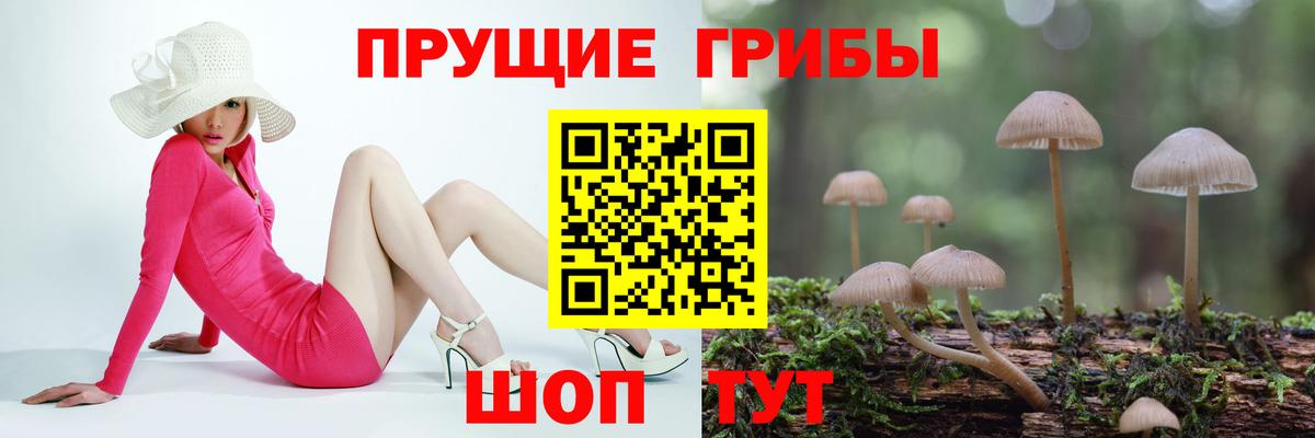 Псилоцибиновые грибы ЛСД Ефремов