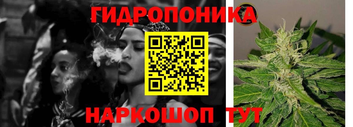 Бошки марихуана гибрид Ефремов